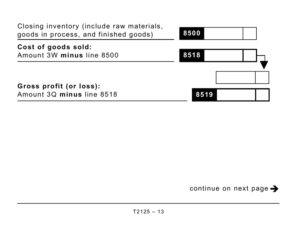 Form T2125 Statement of Business or Professional Activities (Large Print) - Canada, Page 13