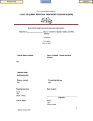 Court Report Submitted by a Certified Addiction Resource - Quebec, Canada