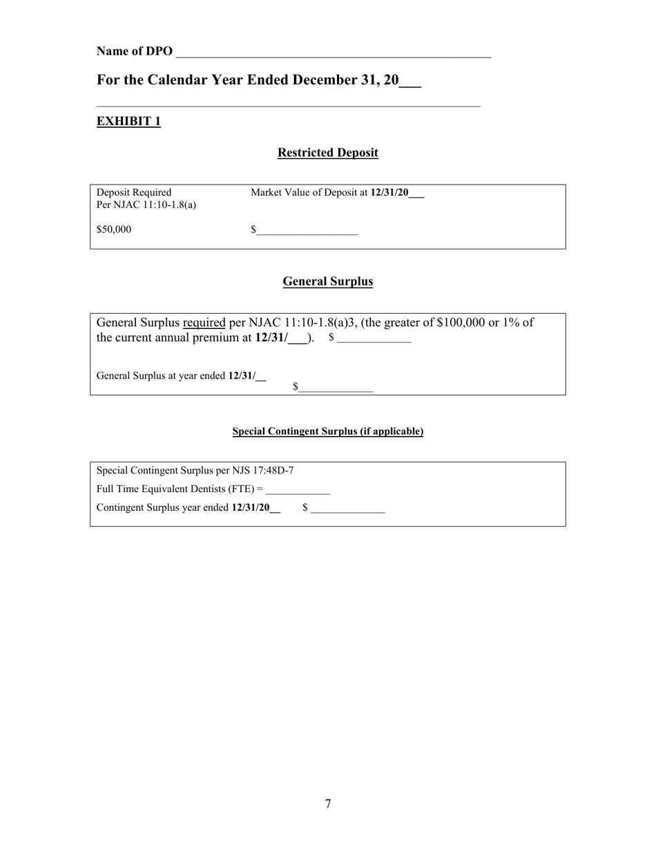 Dpo Annual Report Supplement Form - New Jersey, Page 11