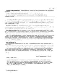 General Form 5 Temporary Order of Protection - New York, Page 3