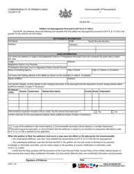 Document preview: Form AOPC102 Petition for Expungement Pursuant to 24 P.s. 13-1333.3 - Pennsylvania