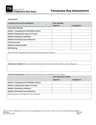 Form CS-1227 Tennessee Key Assessment - Tennessee, Page 2