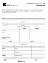 Form CS-0431 &quot;Monthly Family Income and Expenditures&quot; - Tennessee