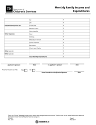 Form CS-0431 Monthly Family Income and Expenditures - Tennessee, Page 2