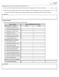 Form 3065 County Indigent Health Care Program (Cihcp) Worksheet - Texas, Page 3