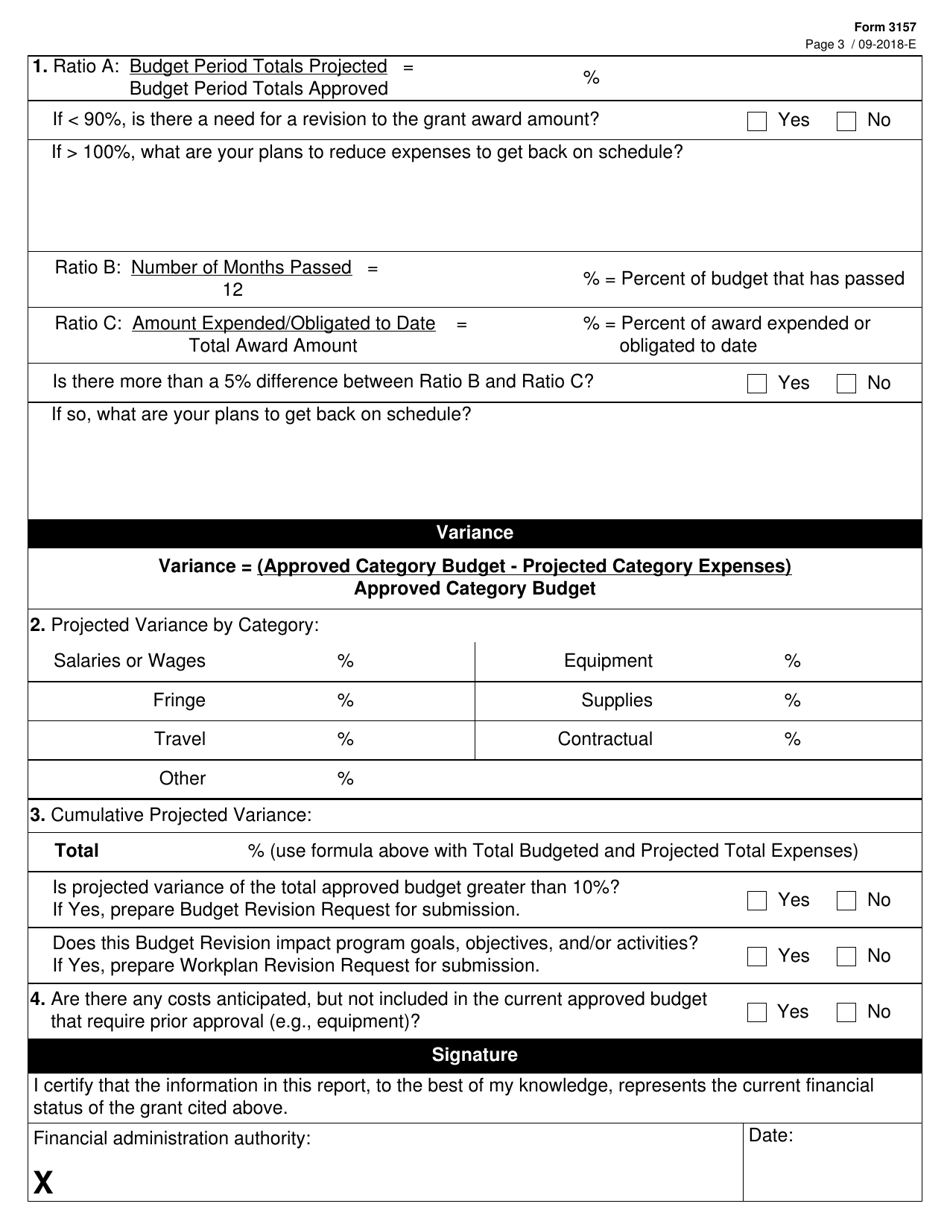 Form 3157 Base / Operational Grant Quarterly Financial Report and Analysis - Texas, Page 3