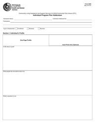 Document preview: Form 3629 Individual Program Plan Addendum - Texas