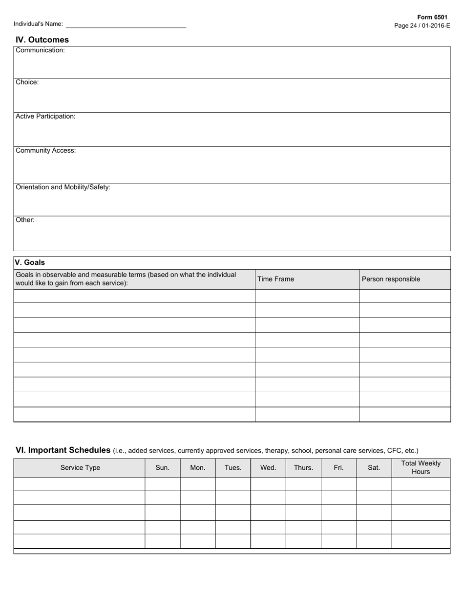 Form 6501 Download Fillable PDF or Fill Online Individual Program Plan ...