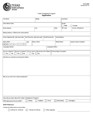 Document preview: Form 6200 Foster Grandparent Program Application - Texas