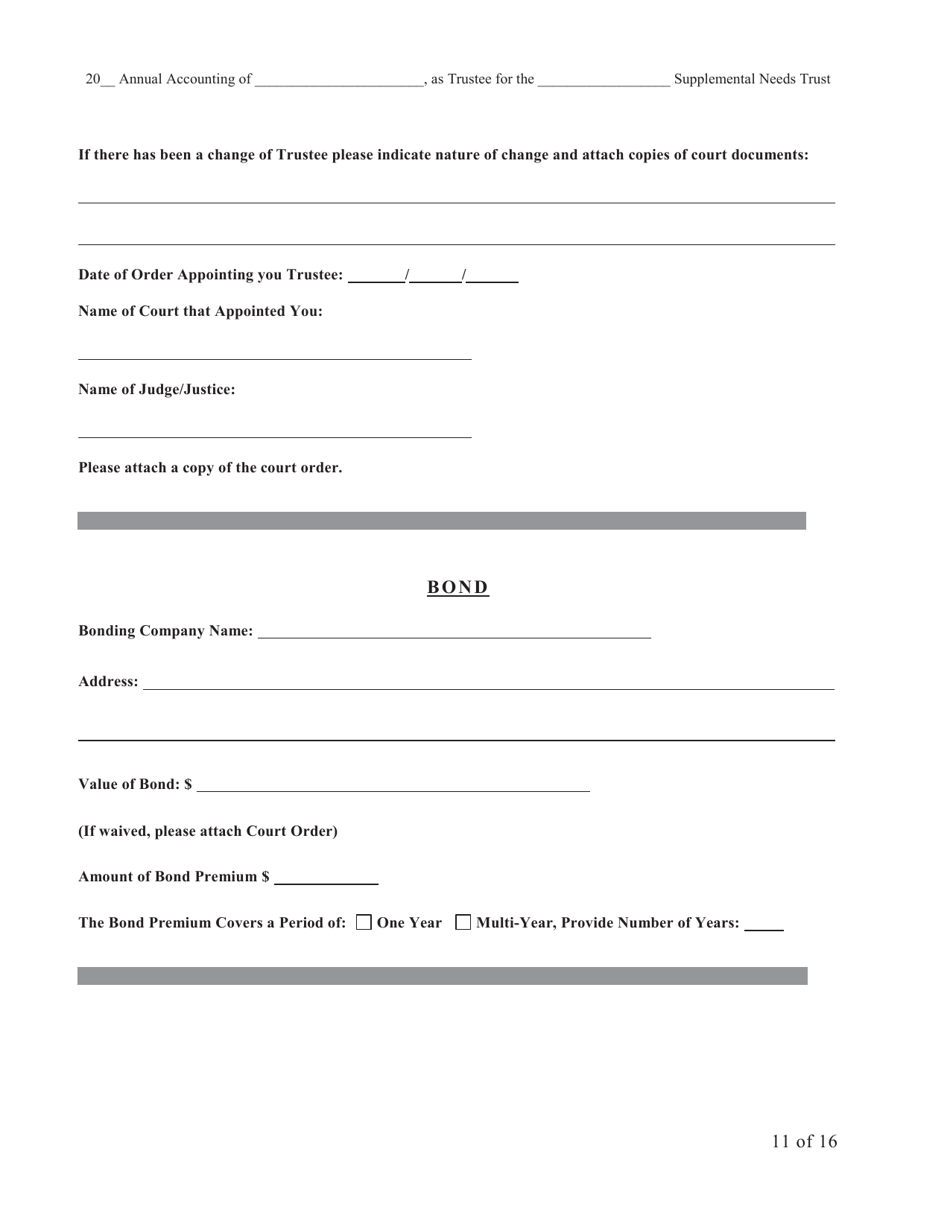 Form SNT-12 Supplemental Needs Trust Accounting - New York City, Page 11