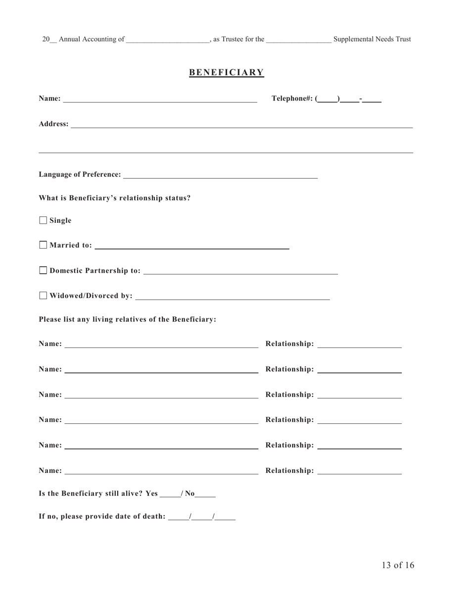 Form SNT-12 Supplemental Needs Trust Accounting - New York City, Page 13