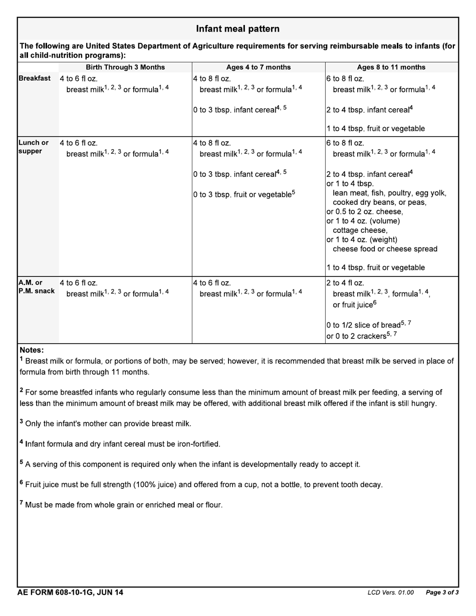 AE Form 608-10-1G Child Youth and School Services Infant Feeding Plan, Page 3