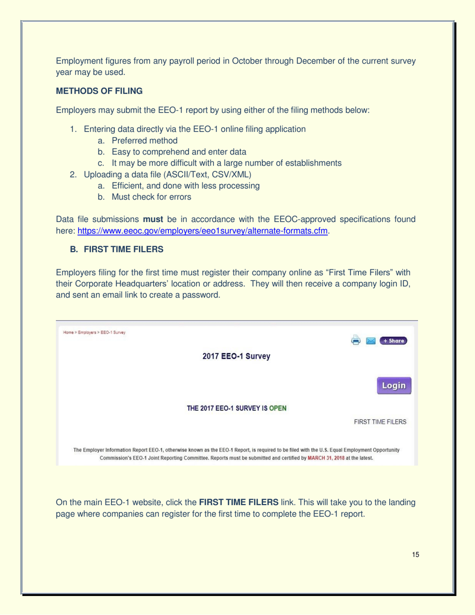 How to File an EEO-1 Report, Page 15