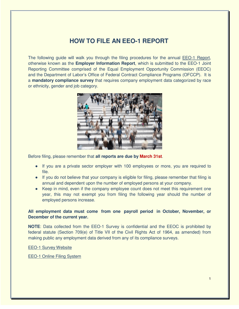 How to File an EEO-1 Report, Page 1