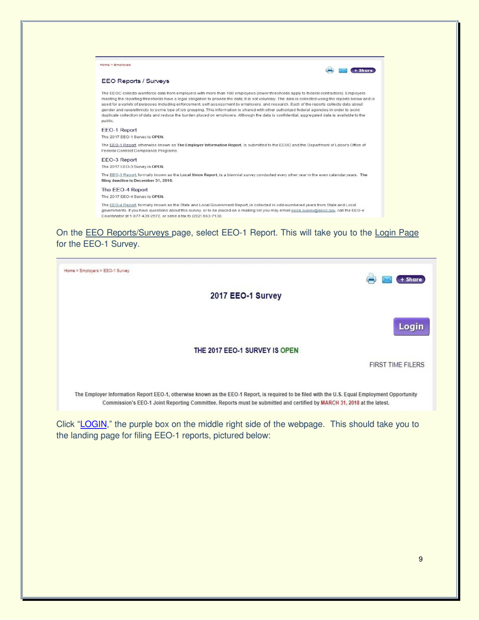 How to File an EEO-1 Report, Page 9