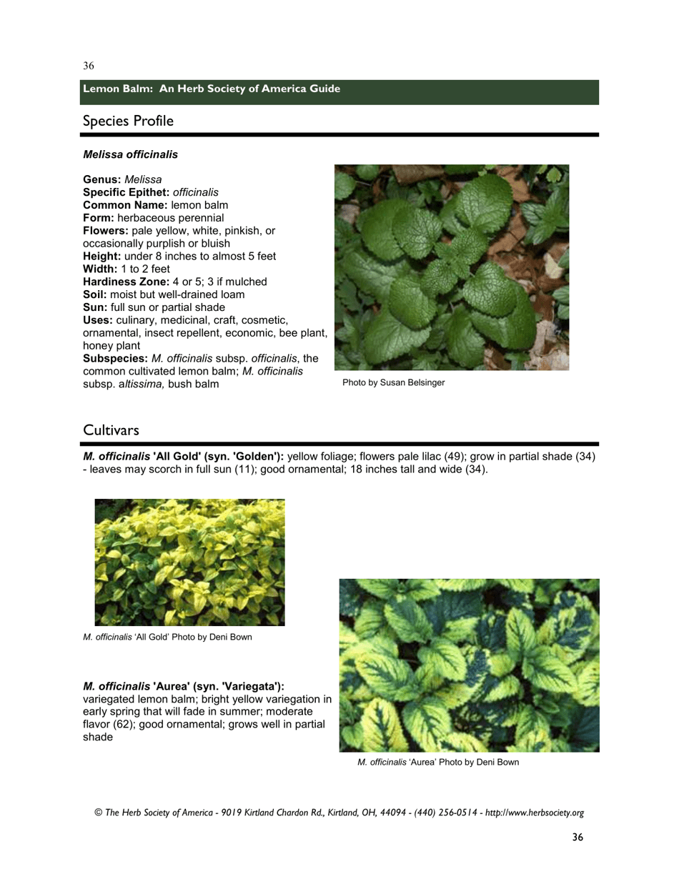 Lemon Balm: an Herb Society of America Guide, Page 36