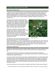 Lemon Balm: an Herb Society of America Guide, Page 7