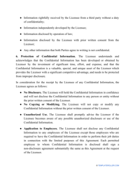 License Agreement Template, Page 3
