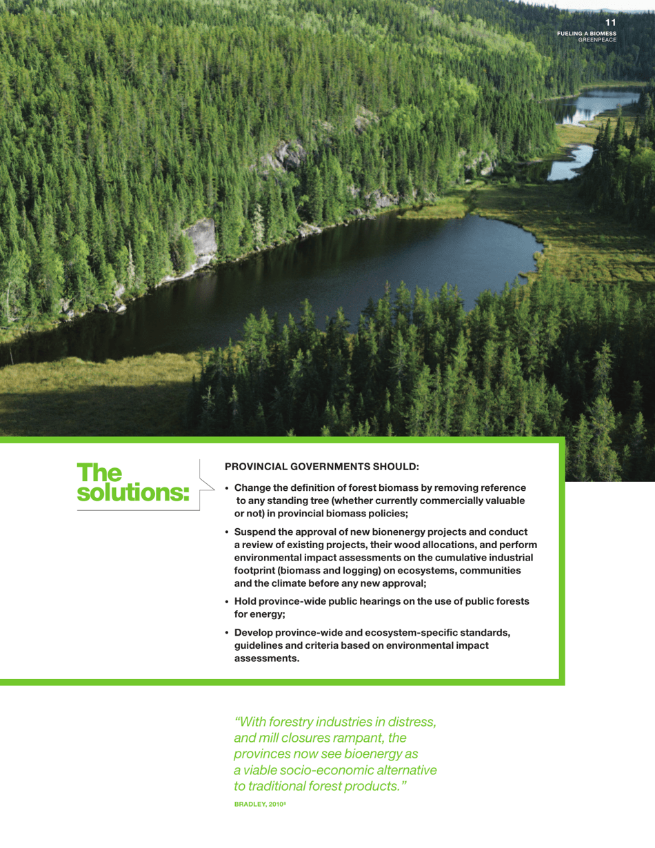 Fuelling a Biomess - Why Burning Trees for Energy Will Harm People, the Climate and Forests - Greenpeace - Canada, Page 11