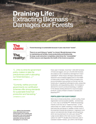 Fuelling a Biomess - Why Burning Trees for Energy Will Harm People, the Climate and Forests - Greenpeace - Canada, Page 12