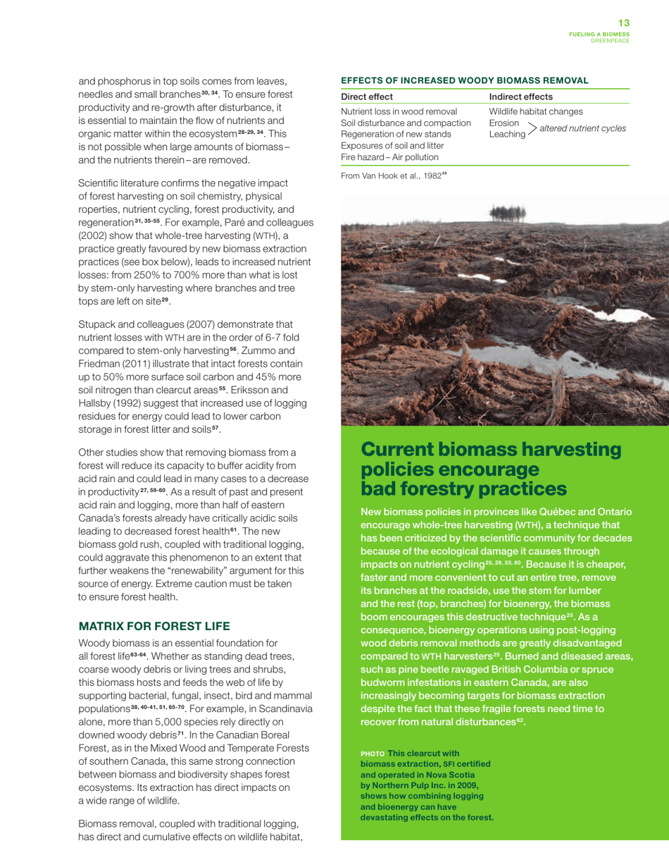 Fuelling a Biomess - Why Burning Trees for Energy Will Harm People, the Climate and Forests - Greenpeace - Canada, Page 13