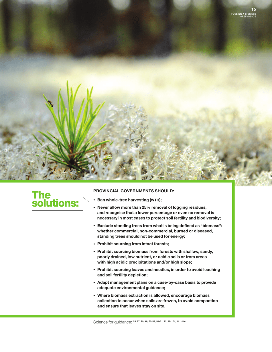 Fuelling a Biomess - Why Burning Trees for Energy Will Harm People, the Climate and Forests - Greenpeace - Canada, Page 15