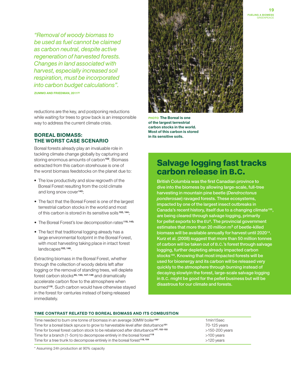 Fuelling a Biomess - Why Burning Trees for Energy Will Harm People, the Climate and Forests - Greenpeace - Canada, Page 19