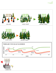 Fuelling a Biomess - Why Burning Trees for Energy Will Harm People, the Climate and Forests - Greenpeace - Canada, Page 21