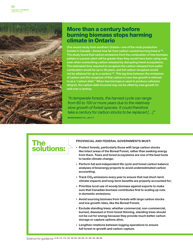 Fuelling a Biomess - Why Burning Trees for Energy Will Harm People, the Climate and Forests - Greenpeace - Canada, Page 22