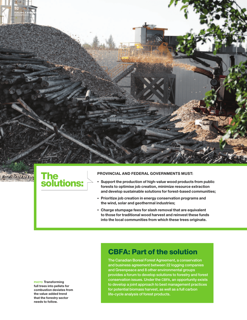 Fuelling a Biomess - Why Burning Trees for Energy Will Harm People, the Climate and Forests - Greenpeace - Canada, Page 32