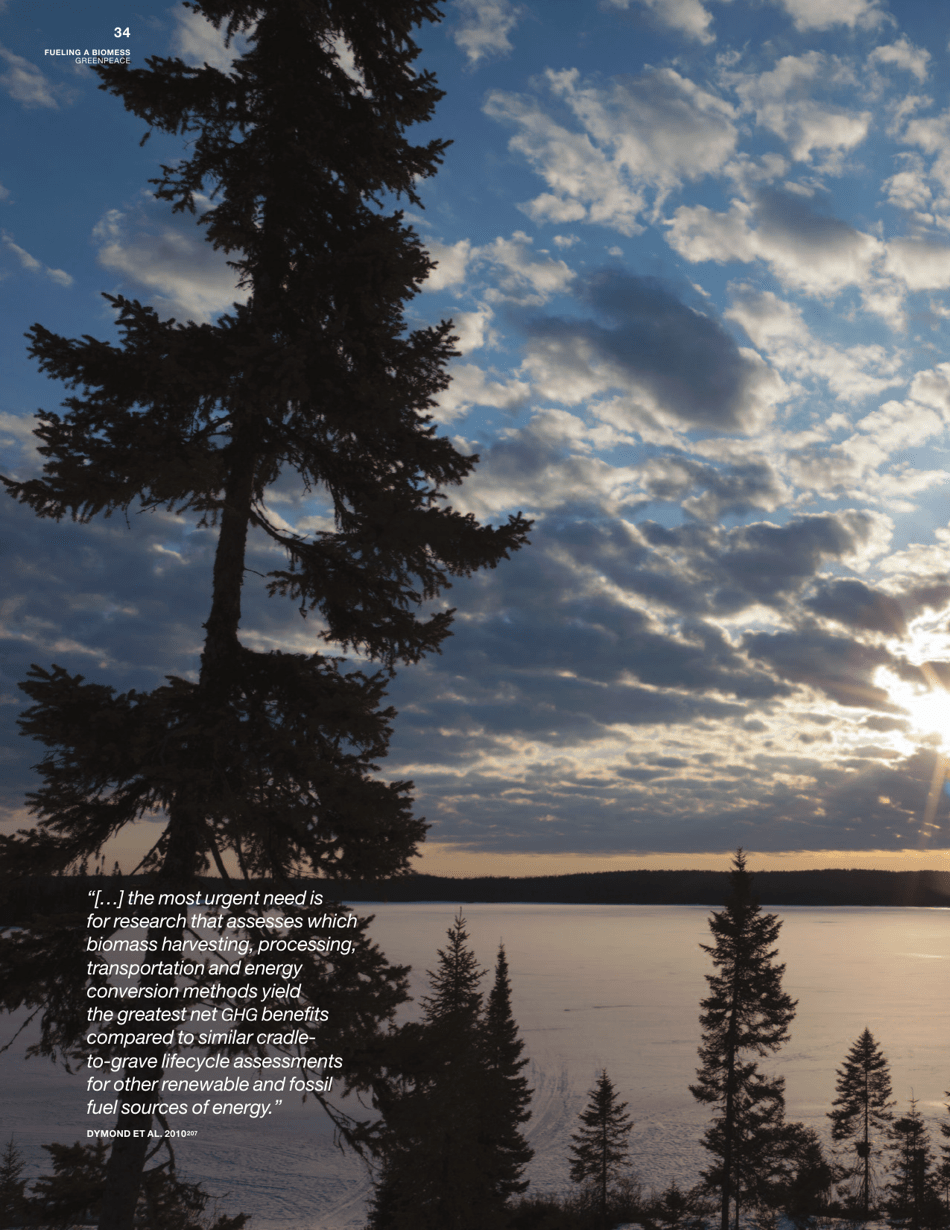 Fuelling a Biomess - Why Burning Trees for Energy Will Harm People, the Climate and Forests - Greenpeace - Canada, Page 34