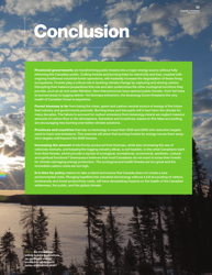 Fuelling a Biomess - Why Burning Trees for Energy Will Harm People, the Climate and Forests - Greenpeace - Canada, Page 35