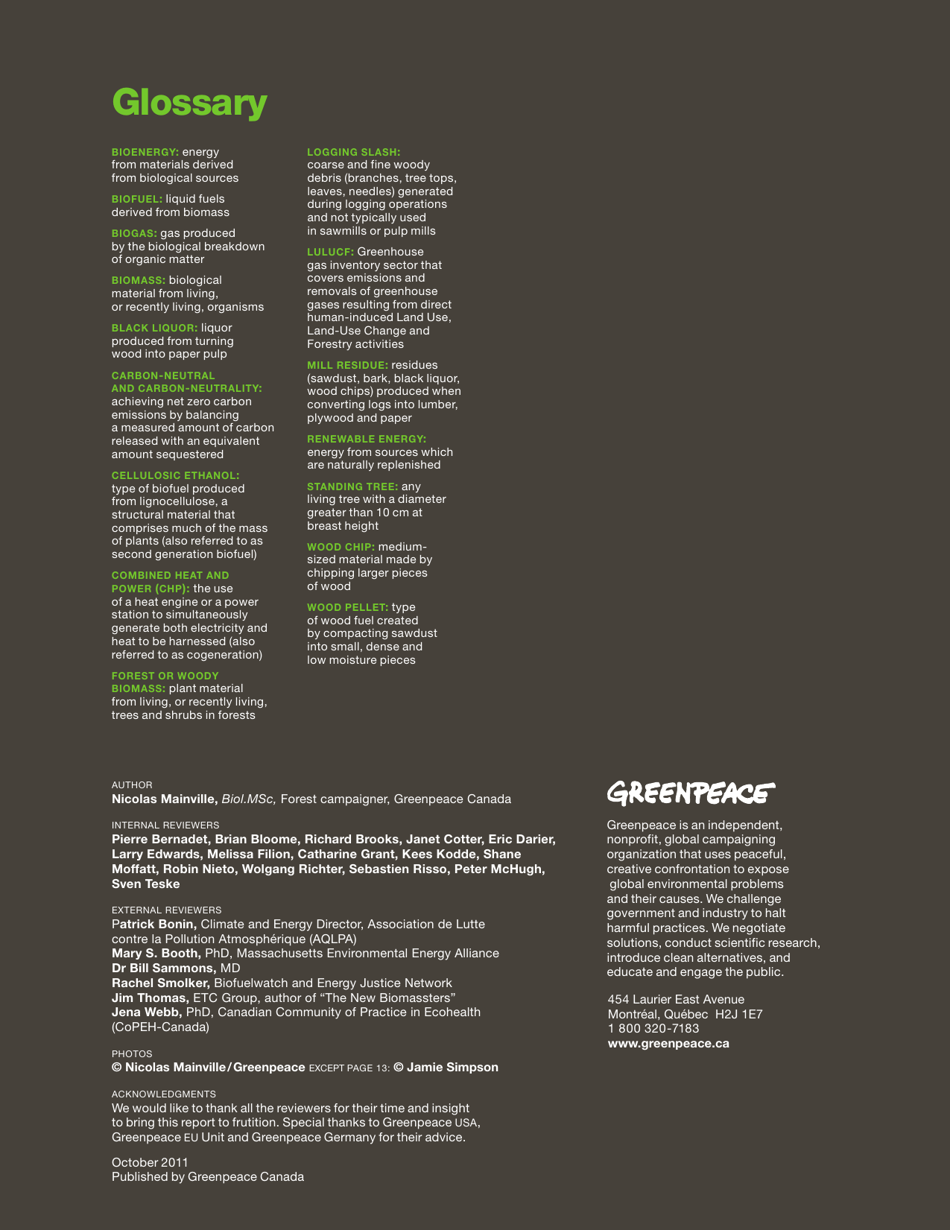 Fuelling a Biomess - Why Burning Trees for Energy Will Harm People, the Climate and Forests - Greenpeace - Canada, Page 39