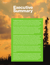 Fuelling a Biomess - Why Burning Trees for Energy Will Harm People, the Climate and Forests - Greenpeace - Canada, Page 4