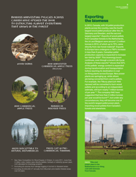 Fuelling a Biomess - Why Burning Trees for Energy Will Harm People, the Climate and Forests - Greenpeace - Canada, Page 9