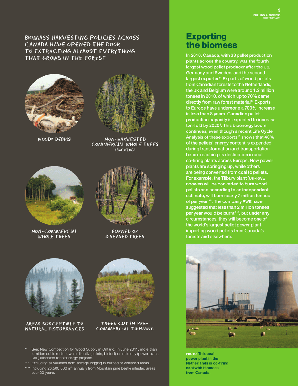 Fuelling a Biomess - Why Burning Trees for Energy Will Harm People, the Climate and Forests - Greenpeace - Canada, Page 9