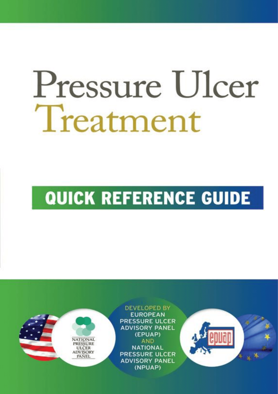 Pressure Ulcer Treatment Quick Reference Guide Preview Image