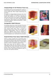 Prevention and Treatment of Pressure Ulcers: Quick Reference Guide, Page 15