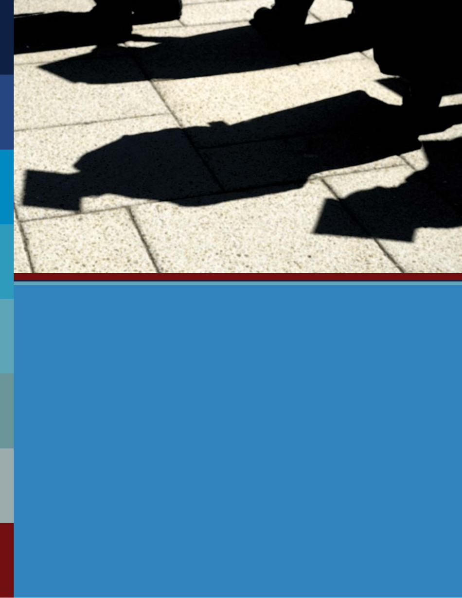 In the Shadows of the Ivory Tower: Undocumented Undergraduates and the Liminal State of Immigration Reform, Page 40