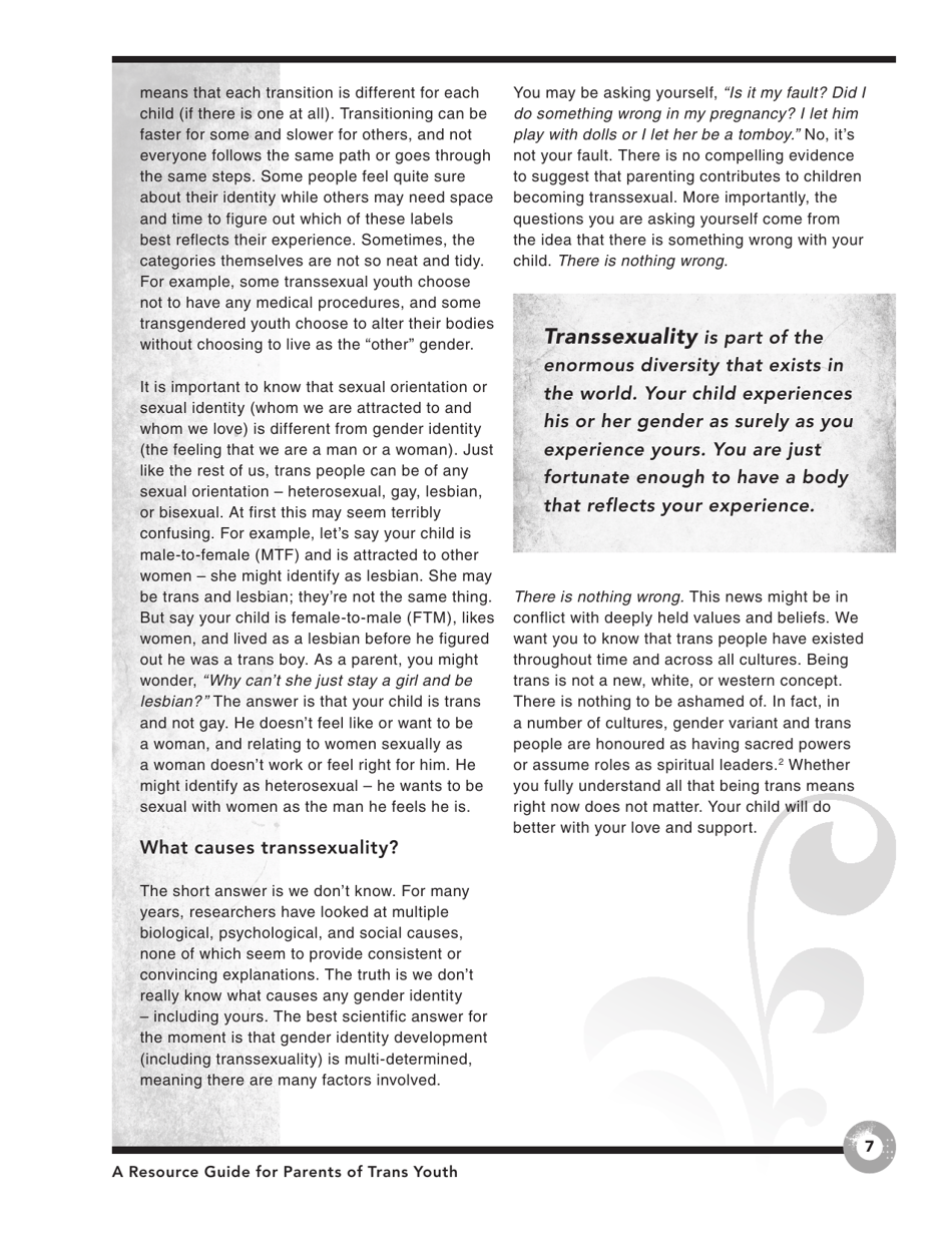 Families in Transition: a Resource Guide for Parents of Trans Youth - Central Toronto Youth Services, Page 9