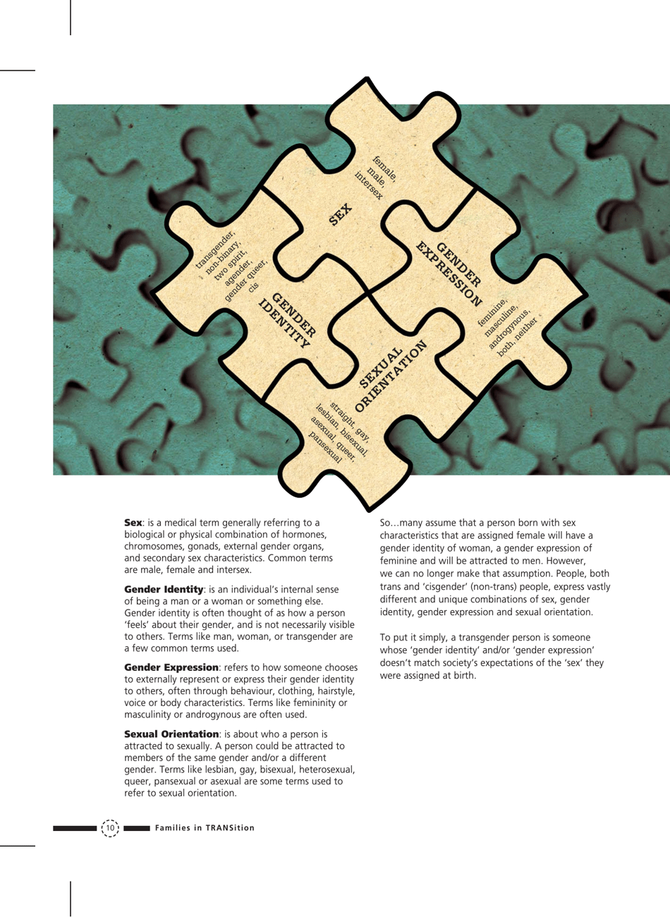 Families in Transition: a Resource Guide for Parents of Trans Youth - Central Toronto Youth Services, Page 12