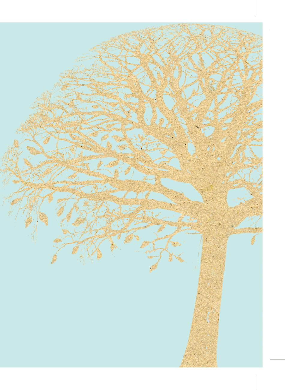 Families in Transition: a Resource Guide for Parents of Trans Youth - Central Toronto Youth Services, Page 55