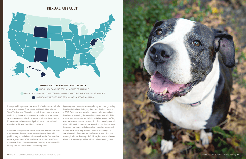 U.S. Animal Protection Laws Rankings: Comparing Overall Strength  Comprehensiveness - Animal Legal Defense Fund, Page 11