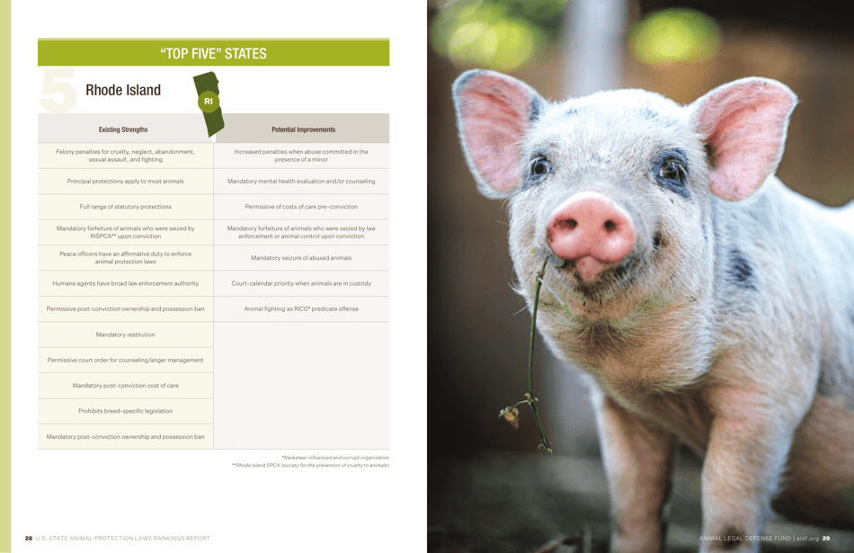 U.S. Animal Protection Laws Rankings: Comparing Overall Strength  Comprehensiveness - Animal Legal Defense Fund, Page 15