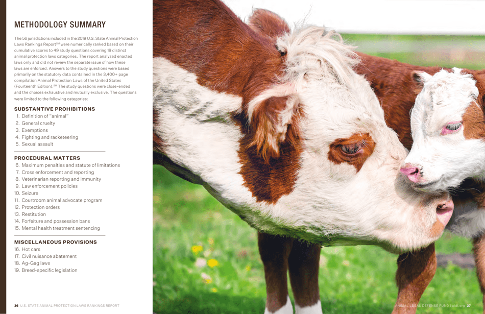 U.S. Animal Protection Laws Rankings: Comparing Overall Strength  Comprehensiveness - Animal Legal Defense Fund, Page 19