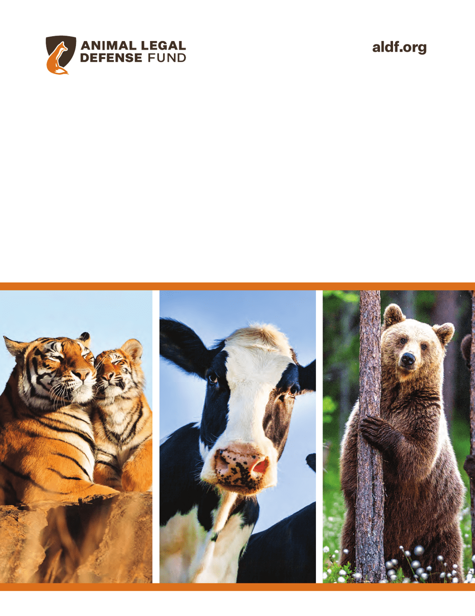 U.S. Animal Protection Laws Rankings: Comparing Overall Strength  Comprehensiveness - Animal Legal Defense Fund, Page 20