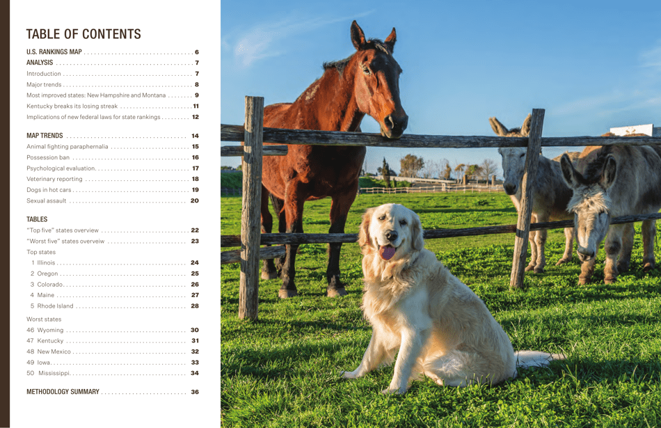 U.S. Animal Protection Laws Rankings: Comparing Overall Strength  Comprehensiveness - Animal Legal Defense Fund, Page 3
