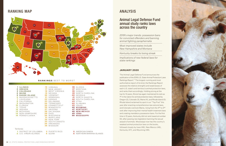 U.S. Animal Protection Laws Rankings: Comparing Overall Strength  Comprehensiveness - Animal Legal Defense Fund, Page 4