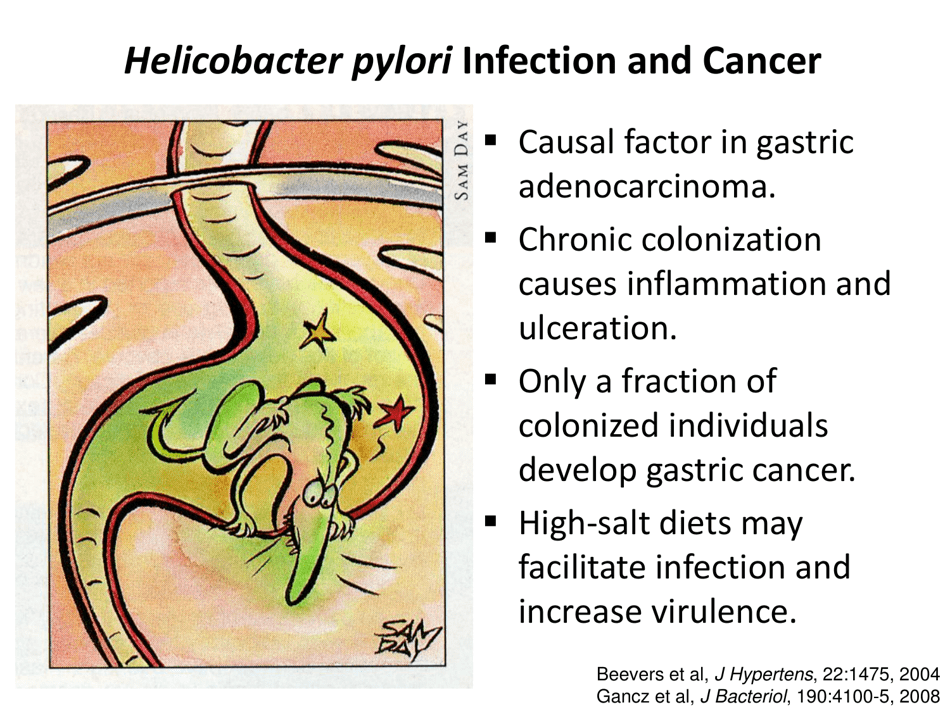 Fermented Foods: Intake and Implications for Cancer Risk - Johanna W. Lampe, Fred Hutchinson Cancer Research Center, Page 10
