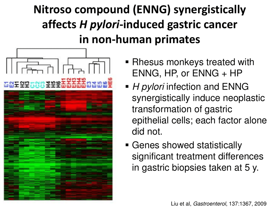 Fermented Foods: Intake and Implications for Cancer Risk - Johanna W. Lampe, Fred Hutchinson Cancer Research Center, Page 14